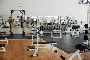 【HitItem】AI 監視カメラ GYM DX®