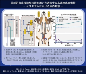【ドクターズ・マン】<br />水素水サーバーの独自技術を血液透析に応用した、革新的な「高濃度水素水透析システム」を開発