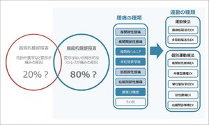 SPINE CONDITIONING STATION、医学専門家が監修する、腰専門のコンディショニングスタジオ