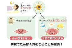 「カーブスの健康たんぱく質ごはん」Amazonランキング 専門料理 第1位を獲得
