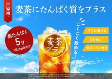 「健康博覧会2026」に出展<br />高たんぱく麦茶「麦茶プラス」に見る、日常摂取型プロテインの可能性