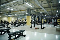 Technogym「東京2020オリンピック・パラリンピック特別版ウェビナー」を開催 トップアスリートが選手村のフィットネスセンターで行う最新パフォーマンストレーニングを一挙紹介