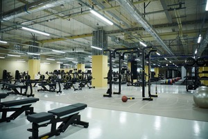 Technogym「東京2020オリンピック・パラリンピック特別版ウェビナー」を開催 トップアスリートが選手村のフィットネスセンターで行う最新パフォーマンストレーニングを一挙紹介