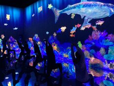 麻布台ヒルズ「チームラボボーダレス」でフィットネスイベント開催<br />―アートとフィットネスが融合する新しいウェルネス体験